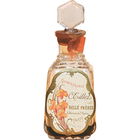 Quintessence - Œillet by Gellé Frères