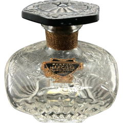 Parfum Narcisse / Narcissus von Maison Andrae