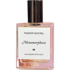 Metamorphosis by Maison Datura