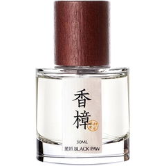 Camphor / 香樟 von Black Paw / 黑爪