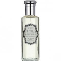 Muschio del Trentino / Trentino Musk von Acque di Italia