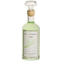 Jean des Salines - Fougère by Laboratoires Cadentia