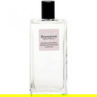 Rosa Rossa e Fiori di Pesco / Red Rose and Peach Blossom von Gandini