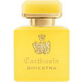 Intenso di Ginestra von Carthusia