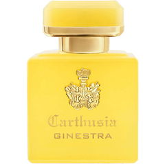Intenso di Ginestra by Carthusia
