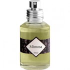 Mimosa von Patio