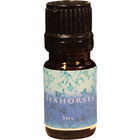 Seahorses by Amorphous