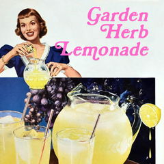 Garden Herb Lemonade von Pulp Fragrance