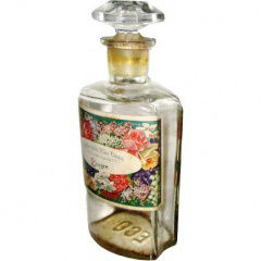 Chypre von Ernst Colditz / Parfumerie Mia Vera