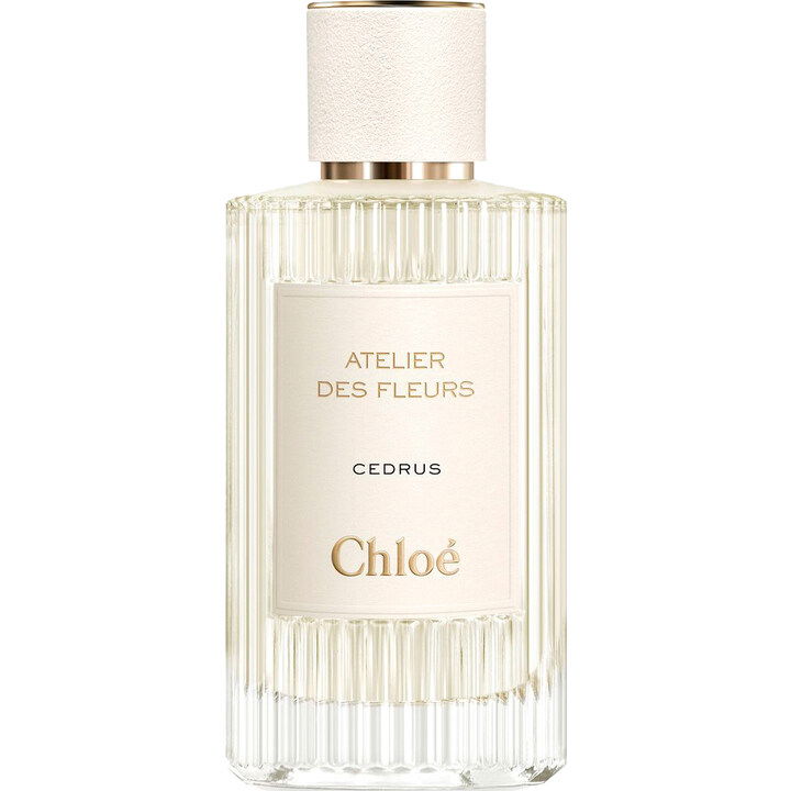 Cedrus (Eau de Parfum) von Chloé