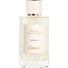 Cedrus (Eau de Parfum) von Chloé