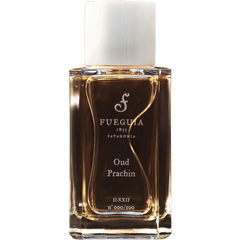 Oud Prachin von Fueguia 1833