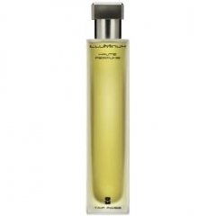 Taif Rose by Illuminum