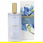 Floral Collection - Iris by Marks & Spencer