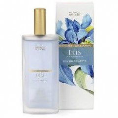 Floral Collection - Iris by Marks & Spencer Floral Collection - Iris by Marks & Spencer