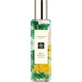 Wild Achillea by Jo Malone