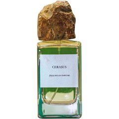 Cerasus by J'Elle Bulan