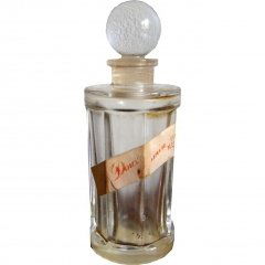 Doux Jasmin von Ciro