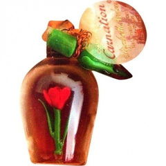 Carnation von Elizabeth Arden