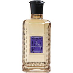 Cap de Bonne-Espérance by Nishane