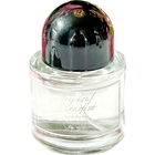 Tropical Paradise by Shop Lavana