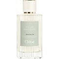 Santalum (Eau de Parfum) by Chloé
