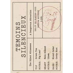 Témoins Silencieux / The Silent Witnesses von Deconstructing Eden