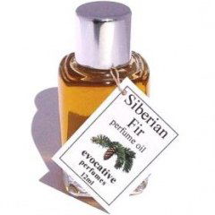 Siberian Fir von Evocative Perfumes