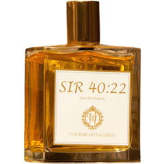 SIR 40:22 von Vladimir Artamoshkin