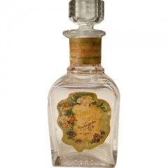 White Heliotrope von Leon Maugenet