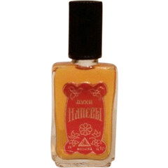 Walkin' on the Stars by Laurent Smal