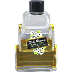 White Blossom von Weldon Inc.