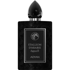 Stallion d'Arabie von Adyan