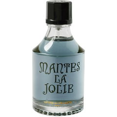 Mantes-la-Jolie by Astier de Villatte