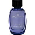 Absolute Boy by Bottega Le Essenza