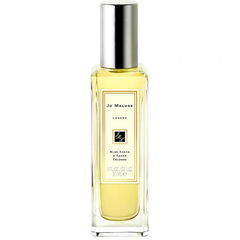 Blue Agava & Cacao von Jo Malone