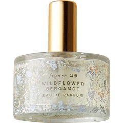 Anatomy of a Fragrance - Wildflower Bergamot by Illume