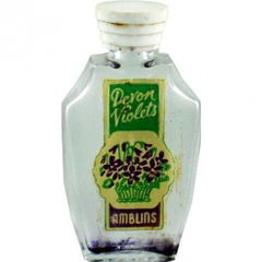 Devon Violets by Amblins