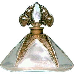 Le Roman de la Rose / Roman d'une Rose von Salancy