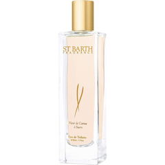 Fleur de Canne à Sucre von Ligne St Barth