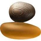 Tendre Est La Nuit - clair by Majda Bekkali