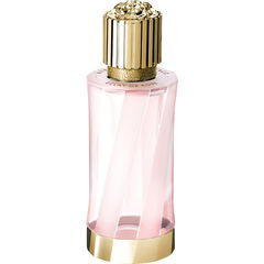 Éclat de Rose von Versace