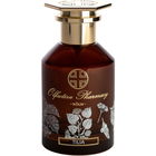 Tilia von Olfactive Pharmacy