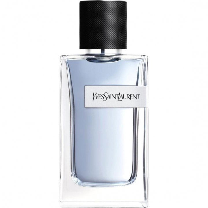 Y (2017) (Eau de Toilette) von Yves Saint Laurent