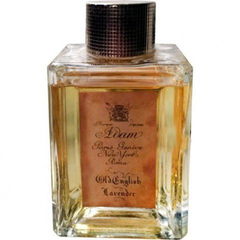 Old English Lavender by Adam