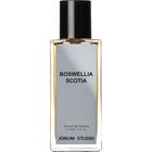 Boswellia Scotia by Jorum Studio