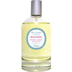 Style for Women by Michalsky Style for Women by Michalsky
