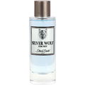 Silver Wolf by Diane Castel