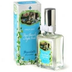 Fiori Bianchi & Foglie Verdi by Speziali Fiorentini Fiori Bianchi & Foglie Verdi by Speziali Fiorentini