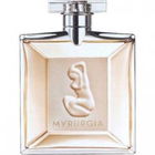 Myrurgia by Myrurgia